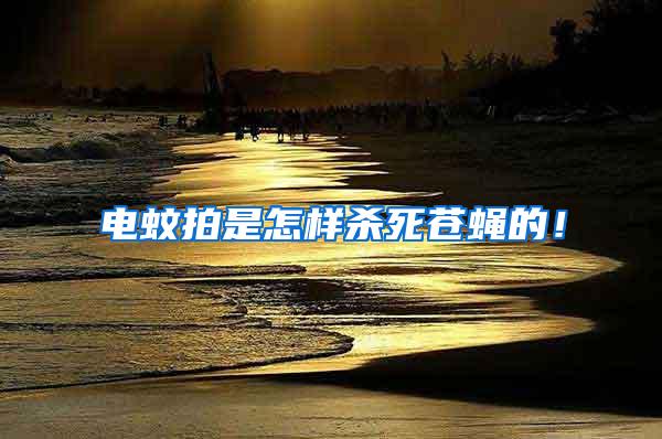 電蚊拍是怎樣殺死蒼蠅的！