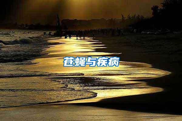 蒼蠅與疾病