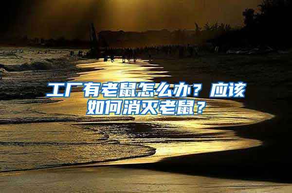 工廠有老鼠怎么辦？應該如何消滅老鼠？