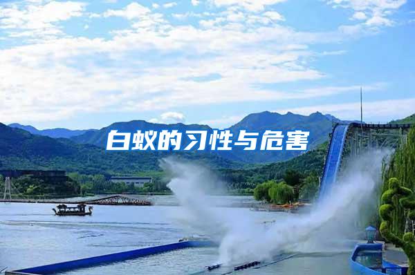 白蟻的習性與危害