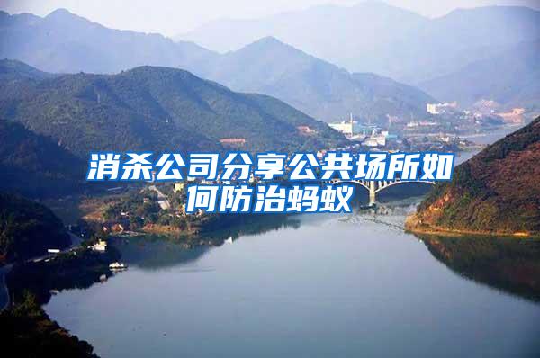 消殺公司分享公共場所如何防治螞蟻