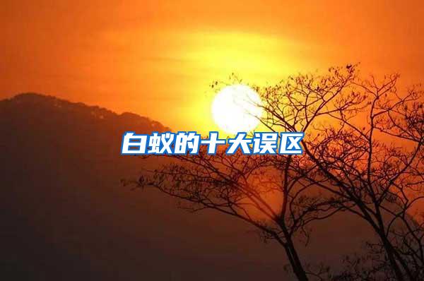 白蟻的十大誤區