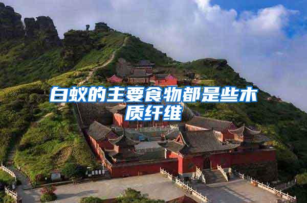 白蟻的主要食物都是些木質纖維