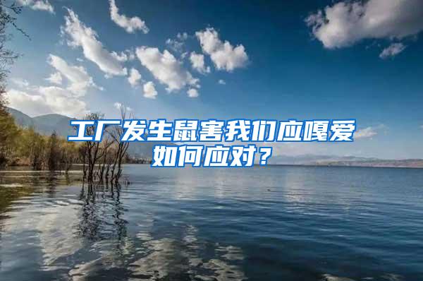 工廠發(fā)生鼠害我們應嘎愛如何應對？