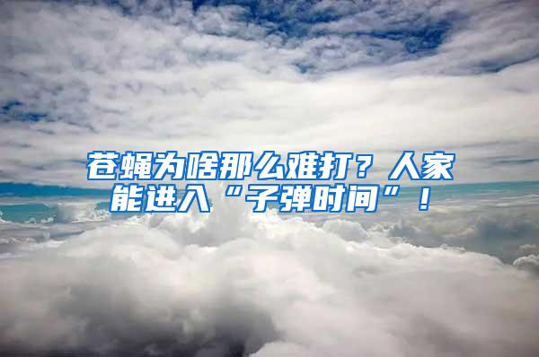 蒼蠅為啥那么難打？人家能進入“子彈時間”！