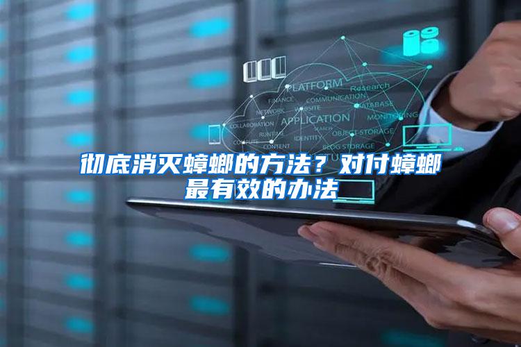 徹底消滅蟑螂的方法？對付蟑螂最有效的辦法