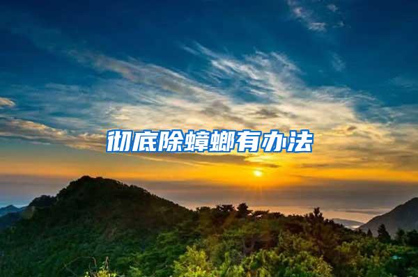 徹底除蟑螂有辦法