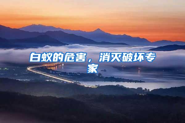 白蟻的危害，消滅破壞專家