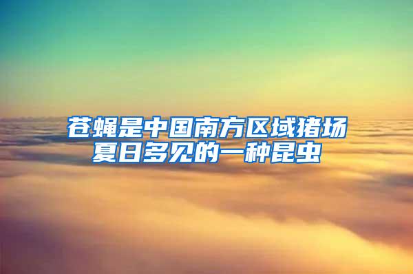 蒼蠅是中國南方區域豬場夏日多見的一種昆蟲
