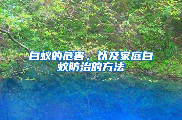白蟻的危害，以及家庭白蟻防治的方法