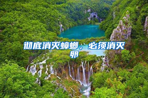 徹底消滅蟑螂，必須消滅卵