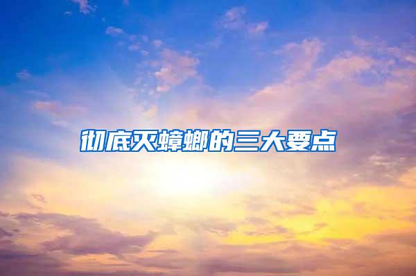徹底滅蟑螂的三大要點