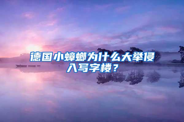 德國小蟑螂為什么大舉侵入寫字樓？