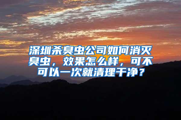 深圳殺臭蟲公司如何消滅臭蟲，效果怎么樣，可不可以一次就清理干凈？