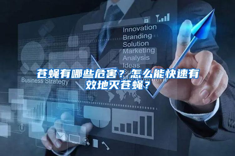 蒼蠅有哪些危害？怎么能快速有效地滅蒼蠅？