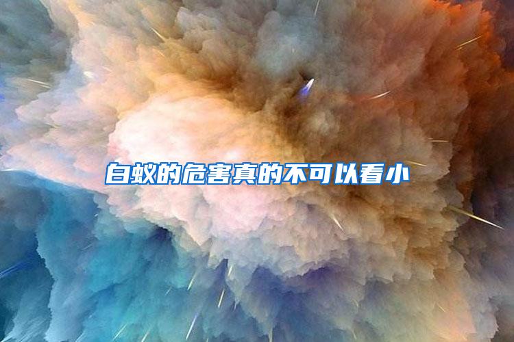 白蟻的危害真的不可以看小