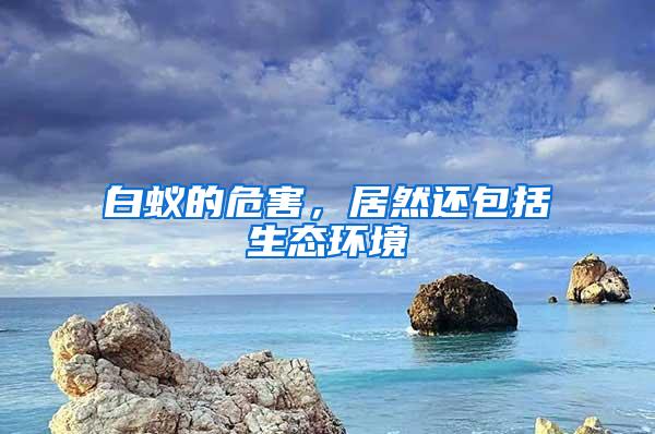 白蟻的危害，居然還包括生態環境