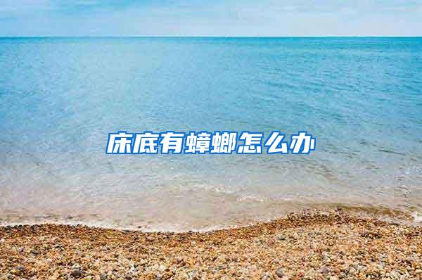 床底有蟑螂怎么辦