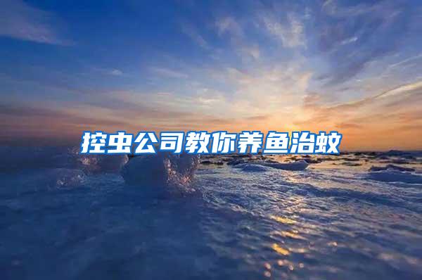 控蟲公司教你養魚治蚊