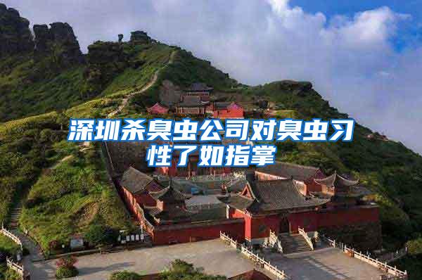 深圳殺臭蟲公司對臭蟲習性了如指掌