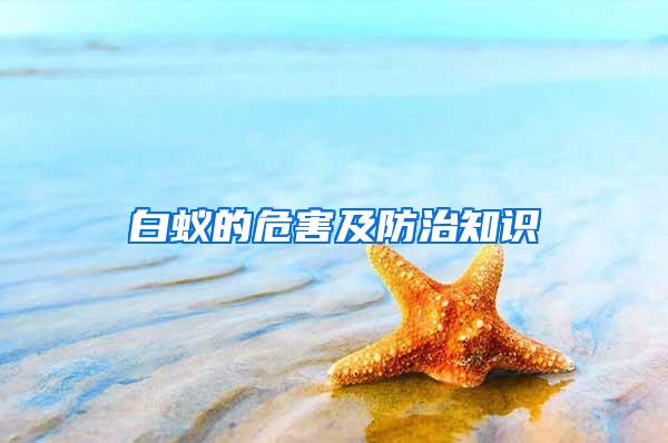白蟻的危害及防治知識