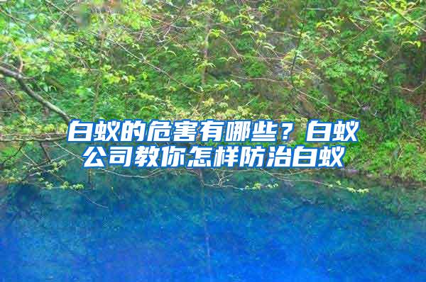 白蟻的危害有哪些？白蟻公司教你怎樣防治白蟻