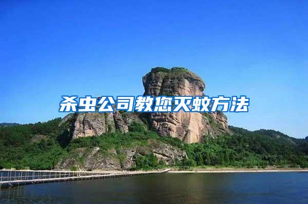 殺蟲(chóng)公司教您滅蚊方法