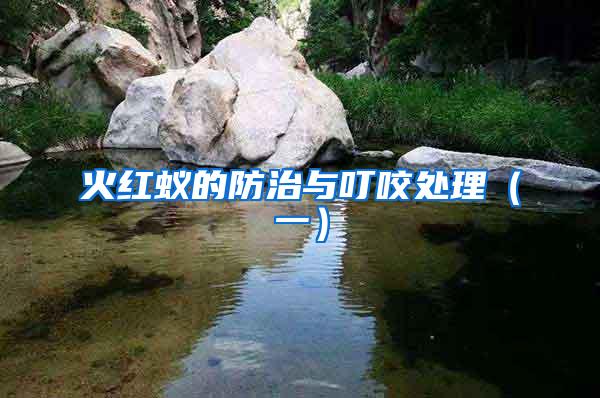 火紅蟻的防治與叮咬處理（一）