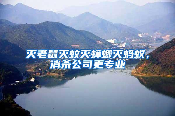 滅老鼠滅蚊滅蟑螂滅螞蟻，消殺公司更專業