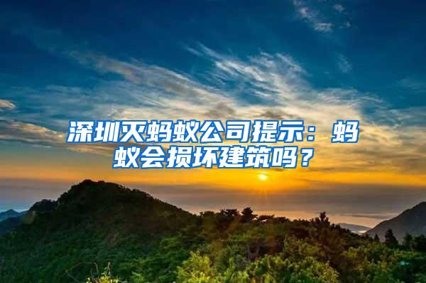 深圳滅螞蟻公司提示：螞蟻會損壞建筑嗎？