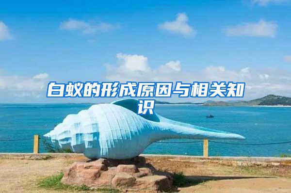 白蟻的形成原因與相關知識