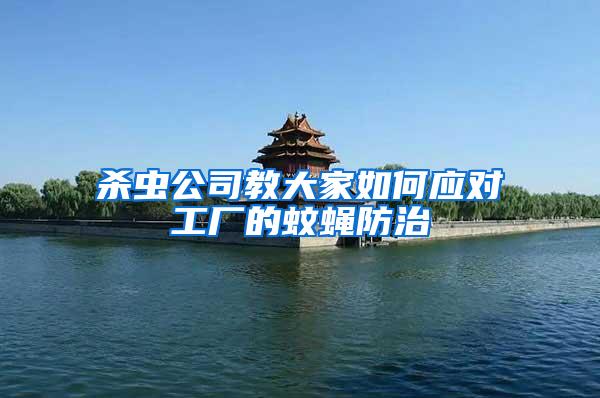 殺蟲公司教大家如何應對工廠的蚊蠅防治