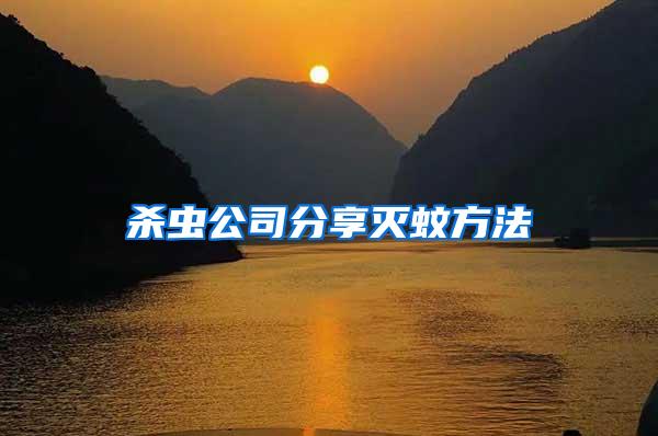 殺蟲公司分享滅蚊方法