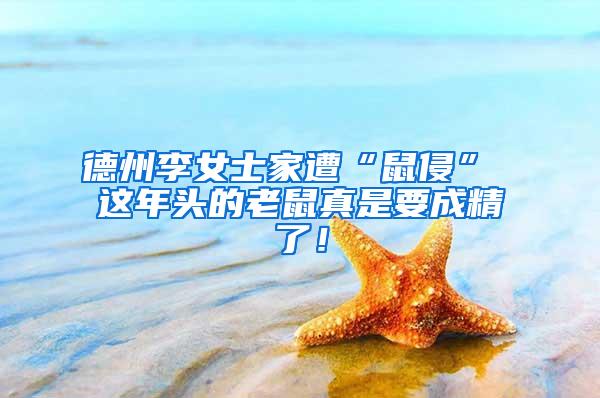 德州李女士家遭“鼠侵” 這年頭的老鼠真是要成精了！
