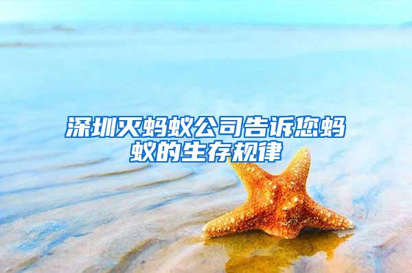深圳滅螞蟻公司告訴您螞蟻的生存規律