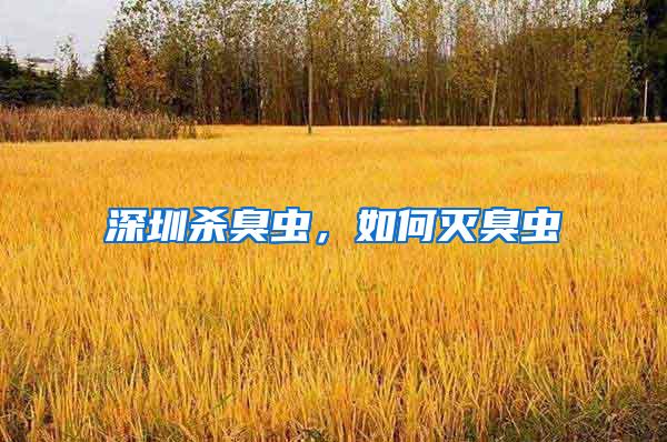 深圳殺臭蟲，如何滅臭蟲