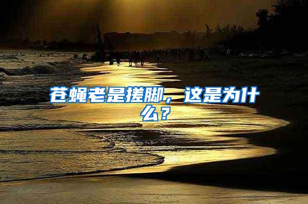 蒼蠅老是搓腳，這是為什么？