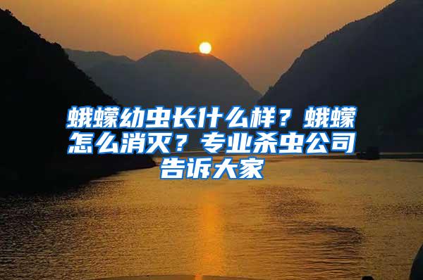 蛾蠓幼蟲(chóng)長(zhǎng)什么樣？蛾蠓怎么消滅？專業(yè)殺蟲(chóng)公司告訴大家