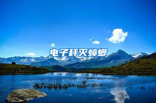 電子秤滅蟑螂