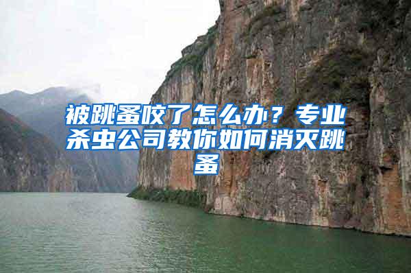 被跳蚤咬了怎么辦？專(zhuān)業(yè)殺蟲(chóng)公司教你如何消滅跳蚤