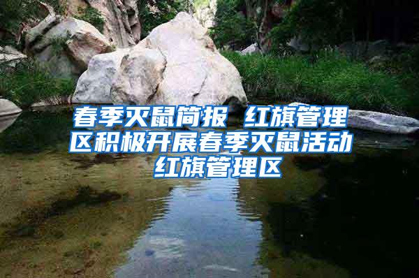 春季滅鼠簡報 紅旗管理區(qū)積極開展春季滅鼠活動 紅旗管理區(qū)