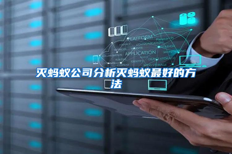 滅螞蟻公司分析滅螞蟻最好的方法