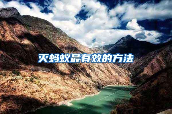 滅螞蟻最有效的方法