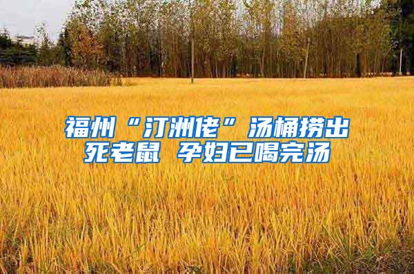 福州“汀洲佬”湯桶撈出死老鼠 孕婦已喝完湯