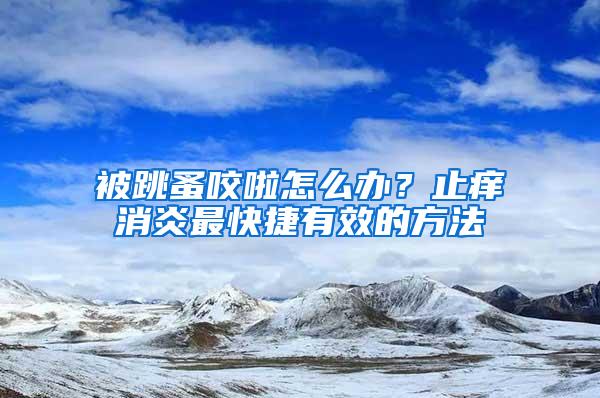 被跳蚤咬啦怎么辦？止癢消炎最快捷有效的方法