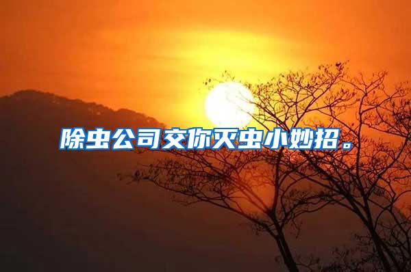 除蟲公司交你滅蟲小妙招。