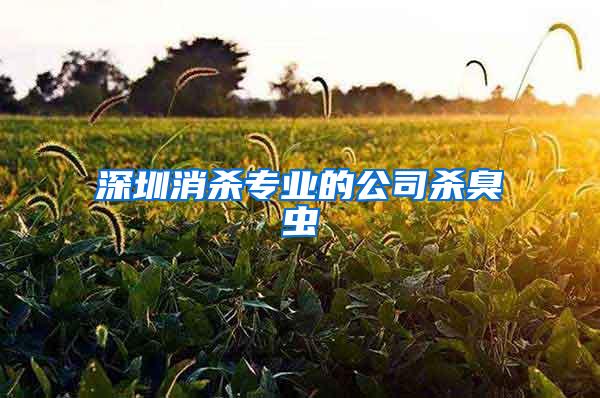 深圳消殺專業(yè)的公司殺臭蟲