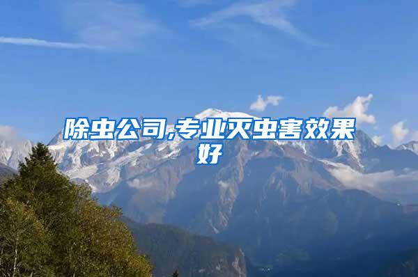 除蟲公司,專業滅蟲害效果好