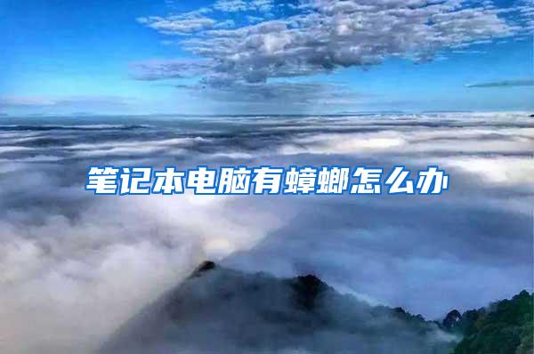 筆記本電腦有蟑螂怎么辦