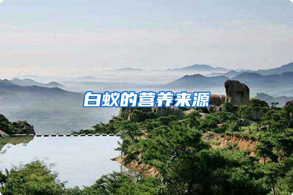 白蟻的營養來源